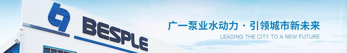 廣一泵業(yè)水動(dòng)力